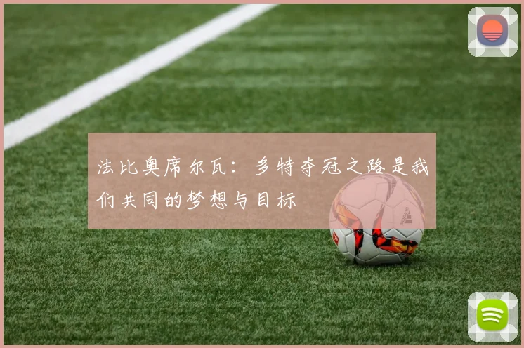 法比奥席尔瓦：多特夺冠之路是我们共同的梦想与目标