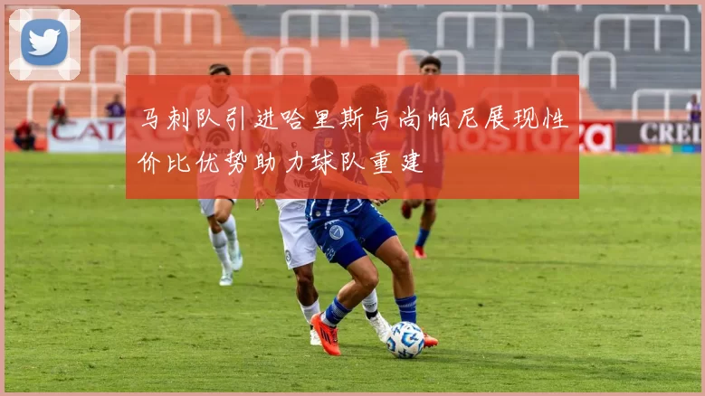 马刺队引进哈里斯与尚帕尼展现性价比优势助力球队重建